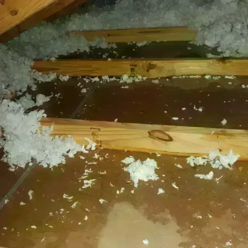 Attic Water Damage in Hebron, NE